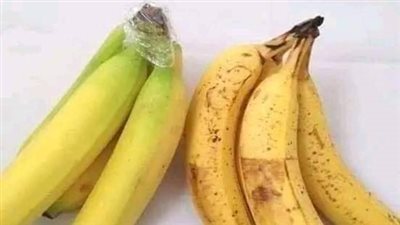 اسم الموز في القرآن الكريم ومعناه