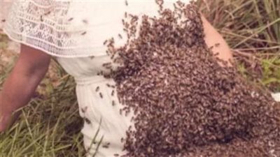 امرأة حـامل وضعت النحل على بطــنها وبعد أيام حدث شيء!