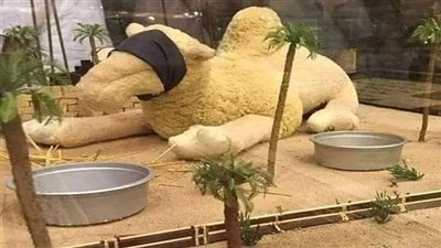 هل تعلم ماذا حدث للقصواء ناقة النبى صل الله عليه وسلم بعد انتقاله للرفيق الاعلى