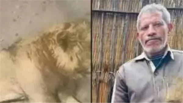 موقع أيام نيوز