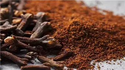 ماذا يحدث للكبد عند تناول كميات كبيرة من القرنفل؟