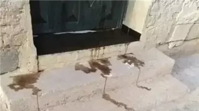 قصة واقعية دود يخرج من منزل عروس وعريس ولن تصدق مالسبب