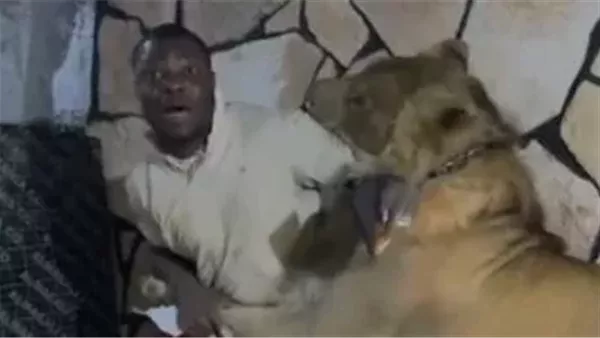 موقع أيام نيوز