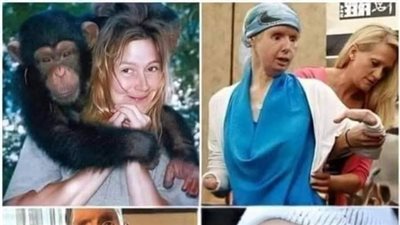 قصة حقيقية ترافيس هو قرد شمبانزي تبنته ساندرا هيرولد