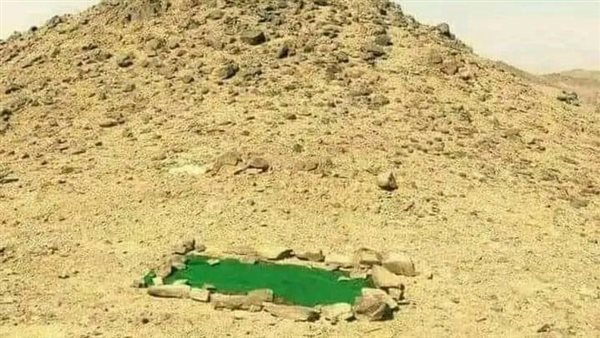 موقع أيام نيوز