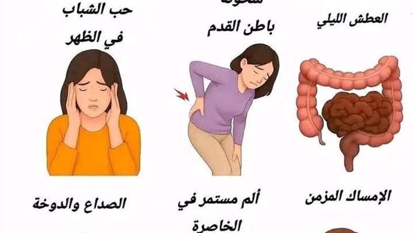 موقع أيام نيوز