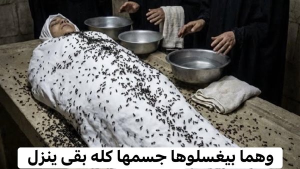موقع أيام نيوز