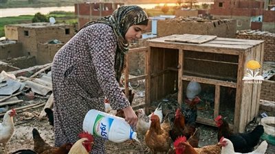سلفتي دلقت الكلور في الميّه بتاعتهم عشان تدمر مشروعي